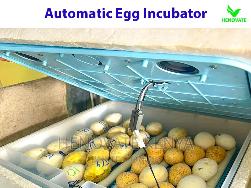 Modern Automatic Egg Incubator(Ruiru Kenya)