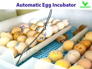 Modern Automatic Egg Incubator(Ruiru Kenya)