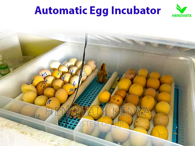 Modern Automatic Egg Incubator(Ruiru Kenya)