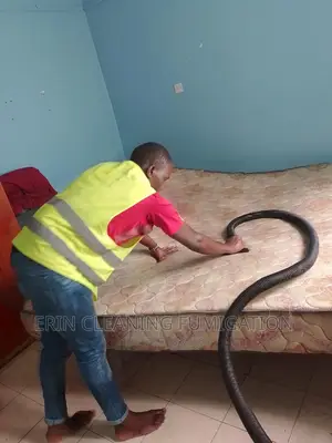 Professional Mattress and Sofaset Cleaning