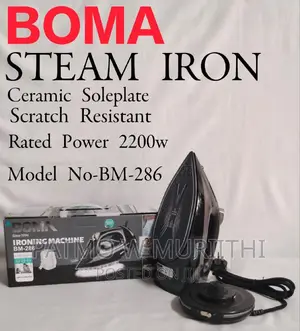 Steam Iron With Ceramic Coating Base 2200W