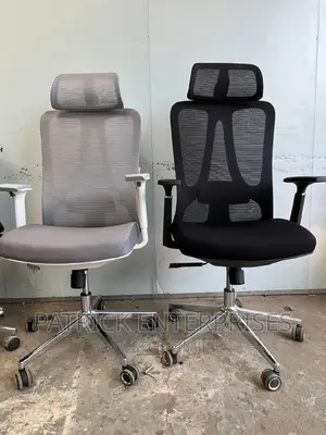 Executive Imported Orthopedic Office Chair