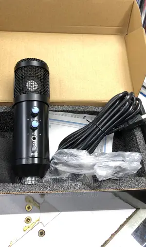 Large-Diaphragm Condenser Microphone