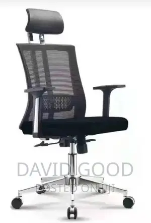 Othropedic Office Chair Othropedic Chair Office Chair