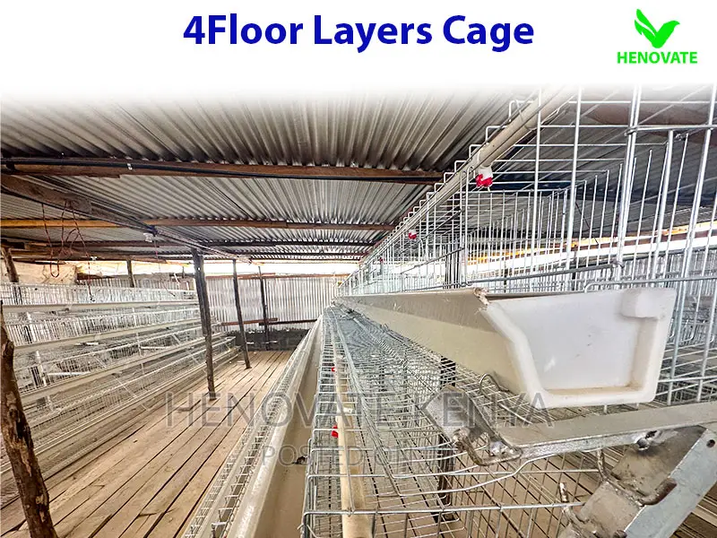 128 Birds Layers Cage