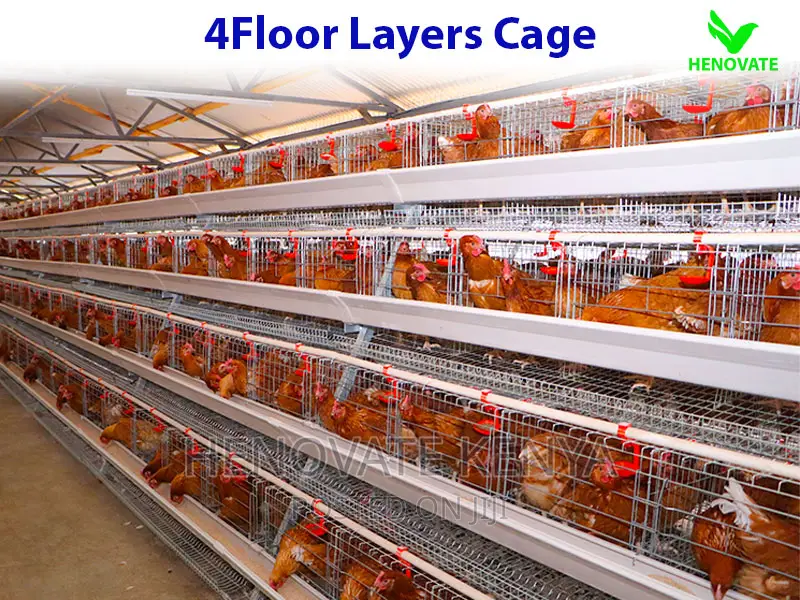128 Birds Layers Cage