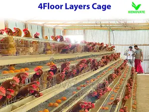 128 Birds Layers Cage