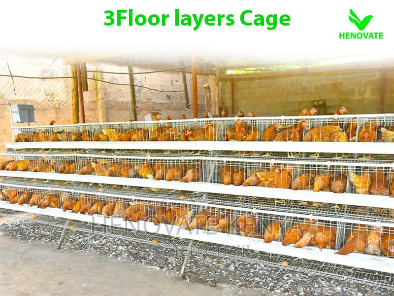 3 Tiers 96 Birds Layer Cage