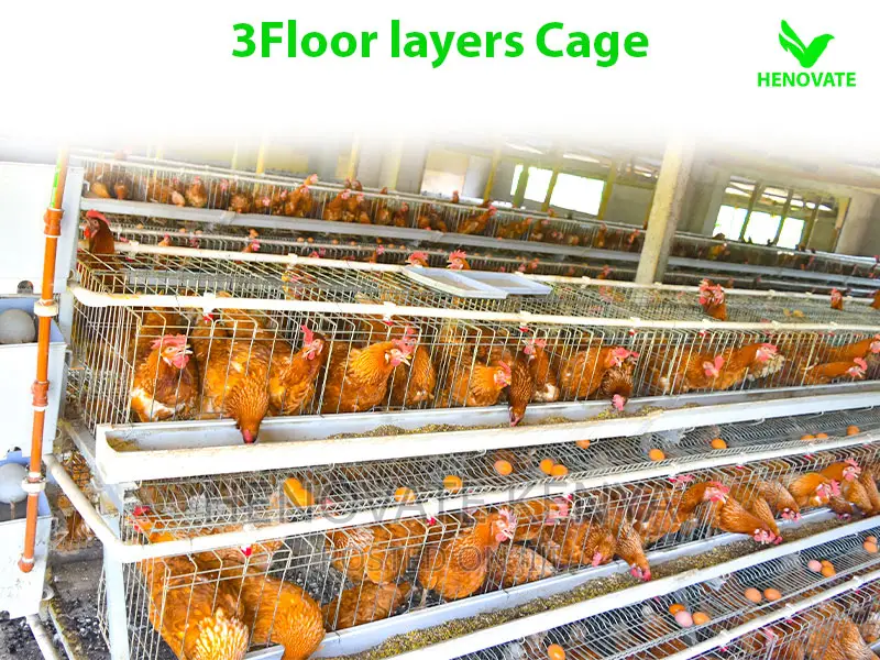 3 Tiers 96 Birds Layer Cage