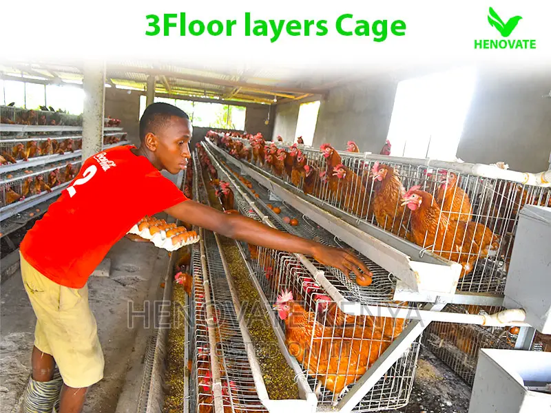 3 Tiers 96 Birds Layer Cage