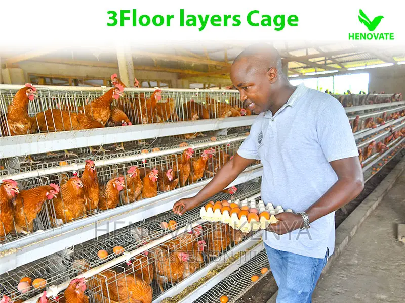 3 Tiers 96 Birds Layer Cage
