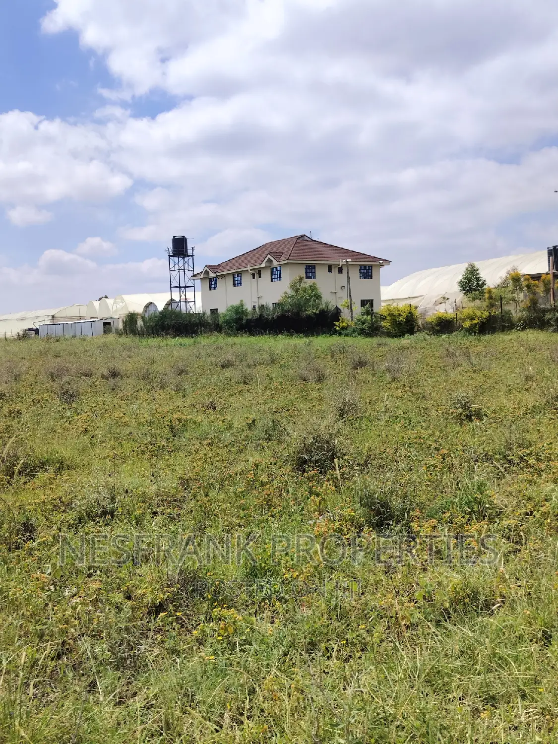 Isinya Prime Plots
