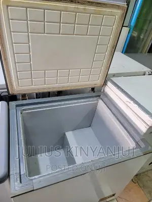 Deep Freezer 250 Litres