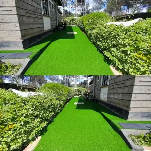Grass Carpet Grass Carpet Grass Carpet Grass Carpet Grass