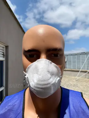 50 Piece Packet Dust Masks