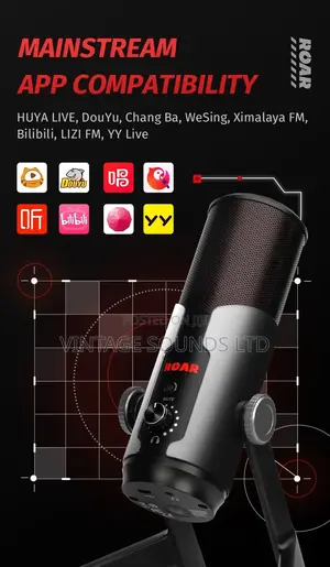 Takstar Liberty Gamer ROAR USB Microphone( Bidirectional)