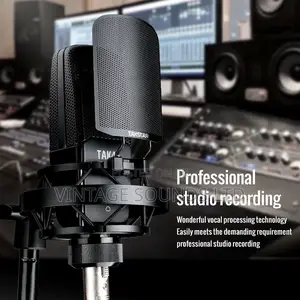 Takstar TAK45 Recording Condenser Microphone