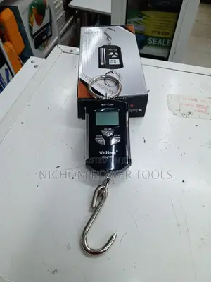 Weiheng Mini 200/100kg Crane Scale