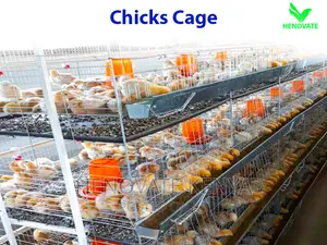 Layer Baby Chick Cages Available in Kiambu Ruiru Saves Space