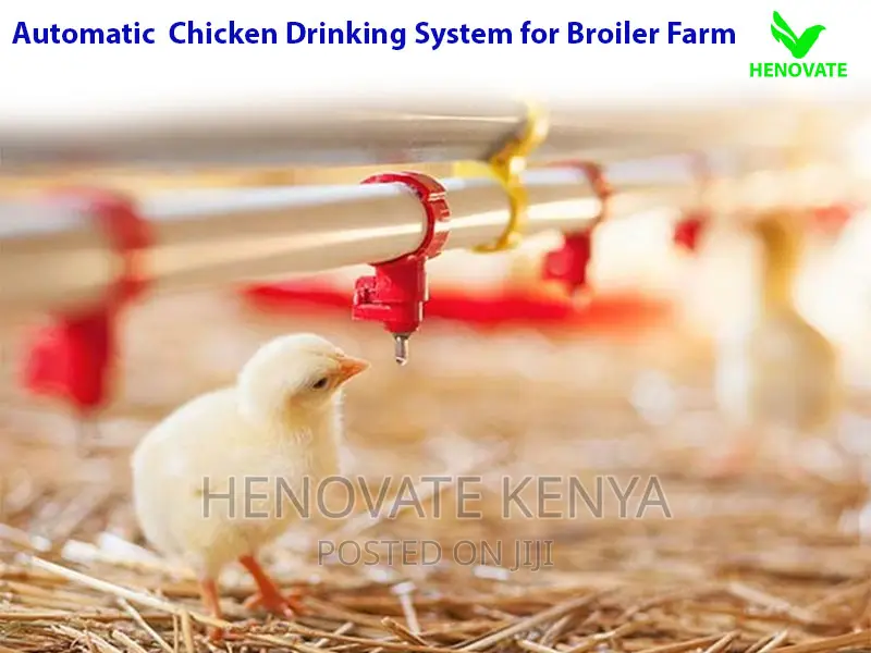Automatic Bell Drinkers(Available)New