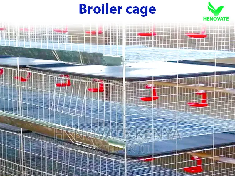 Broiler Cage With Automatic Harvesting System
