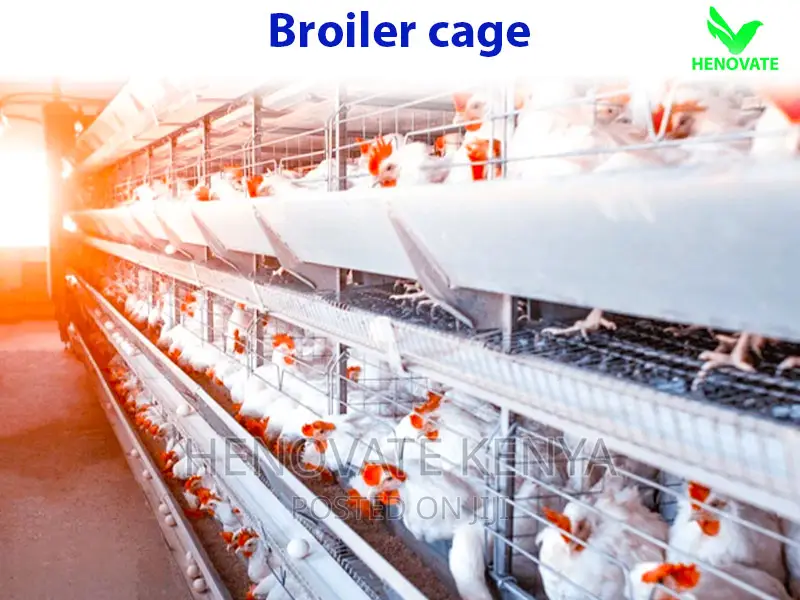 Broiler Cage With Automatic Harvesting System
