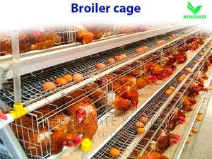 Broiler Cage With Automatic Harvesting System