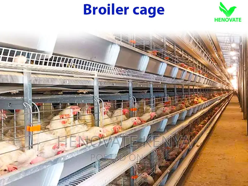Broiler Cage With Automatic Harvesting System
