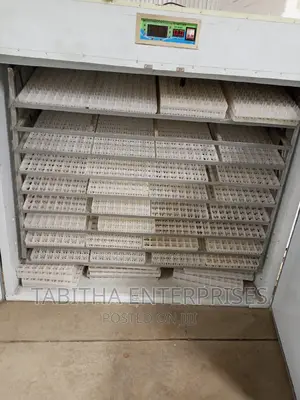 1056 Automatic Egg Incubator