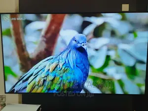 LG 77′′ Oled77b3 Oled Smart