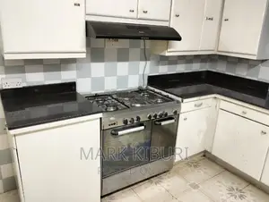 Black Granite Working Tops