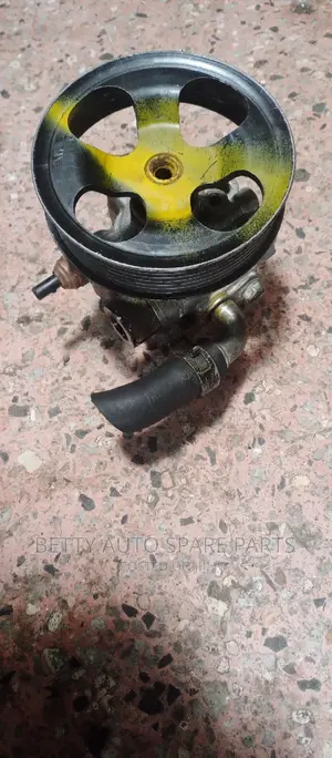 Toyota Camry 2az Cartilage or Power Steering