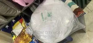 School Mosquito Nets
