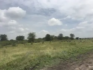 40 Acres Kenani