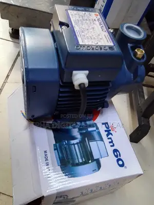 Pedrollo Water Pump Booster Pkm60,230 V