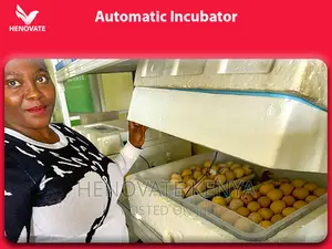 Best High Quality Automatic Eggs Incubators(2024)