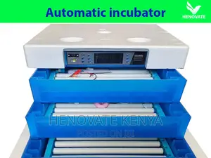 Automatic Solar Egg Incubators in Kenya