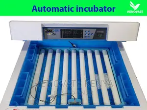Automatic Solar Egg Incubators in Kenya