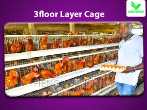 96 Chicken Layers Cage