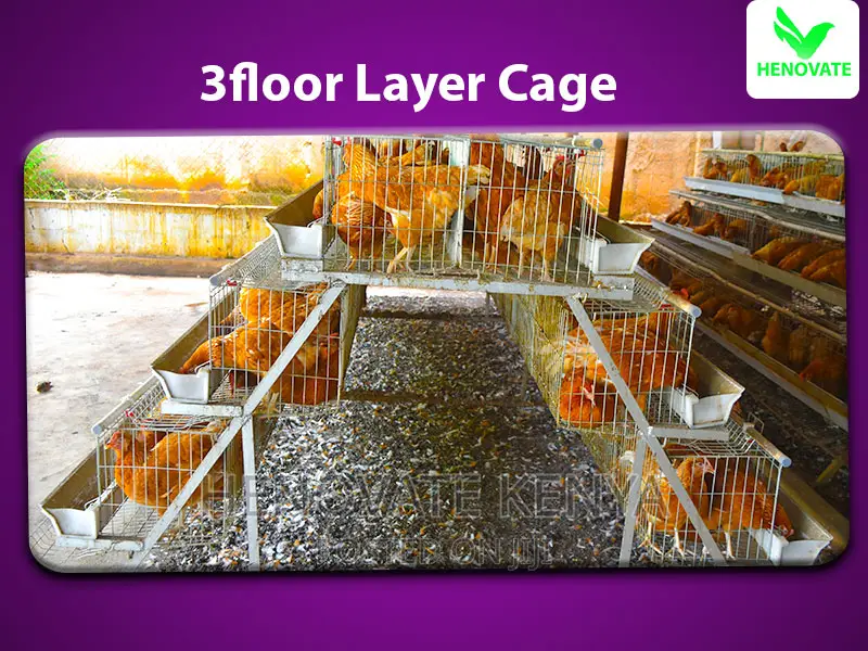 96 Chicken Layers Cage