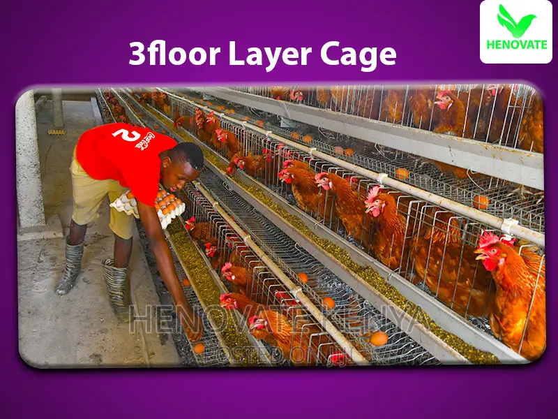 96 Chicken Layers Cage
