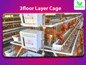 Spacious 96 Layers Chicken Cage