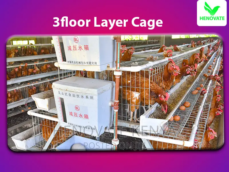 Spacious 96 Layers Chicken Cage