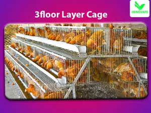 3floor Layers Cage/96 Birds