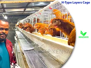 H Type Layer Chicken Cage System