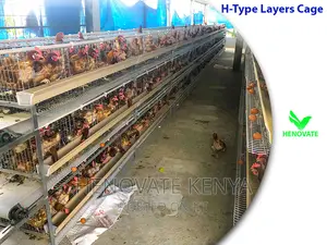 H Type Layer Chicken Cage System