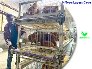 H Type Layer Chicken Cage System