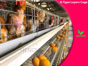Substantial H Type Layer Chicken Cage in Kenya.