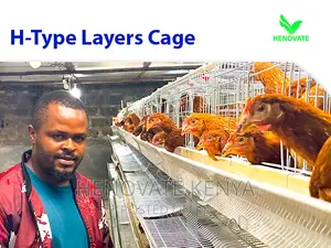 Layer Chicken Cage Saving Space in Kenya
