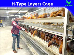 Hightop Poultry Farming(H-Type)Cage in Kiambu Ruiru